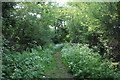 Path to Pipers Green Lane, Edgware