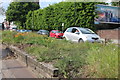 Wild flowers on Edgware High Street