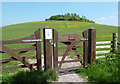 Gate to the Clumps