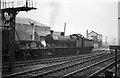 Freight train at Walsall Station ? 1963