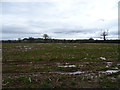 Stubble field off Dale Lane