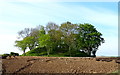 Willy Howe Neolithic round barrow