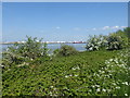 View from the Thames Path near Cross Ness