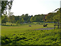 A spring evening in Beckett Park