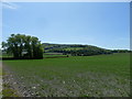 Looking South towards Butser Hill