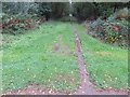 Path into Alice Holt Forest