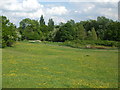 Callington Road Local Nature Reserve