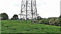 Pylon south of Newstead Farm