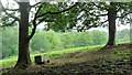 Scene on the north side of the High Weald Landscape Trail