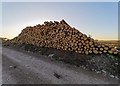 Timber Stack Clachindruim