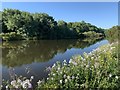 River Trent at Clifton