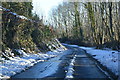 Snow, Ladham Rd