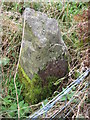 NZ6713 : Old Boundary Marker by Mike Rayner