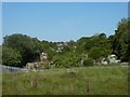 A sea of green, the allotments beside Prince Charles Road, Exeter