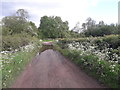 Semi permanent puddle near The Wyke