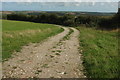 Track near Blackdown Farm