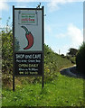 Advert for chilli farm