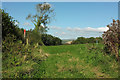 Field near Coyton