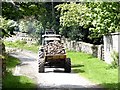 Trailer full of fodder root crops