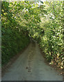 Lane to Lotherton Bridge