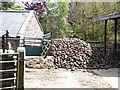 Large stock of fodder root crop at Newbiggin Farm