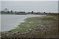 Mud, Forton Lake