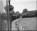 Culm Valley Railway ? 1963