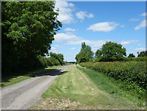 SP5416 : Neat Approach to Oddington Grange by Des Blenkinsopp