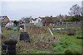 Allotments, Thornford