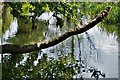 Harleston: River Waveney