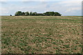 Tythe Farm at the top of the field