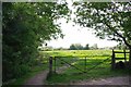 Footpath From Moreton