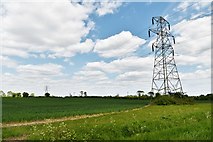 TM2667 : Tannington: Power lines by Michael Garlick