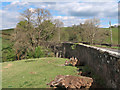 Fairy Burn Bridge