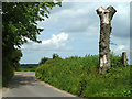 Hogbrook Hill Lane