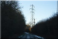 Pylon by Jarvis Lane