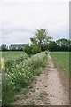 Footpath to Bundish Hall