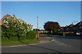 Post box on Fordlands Road