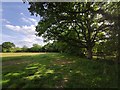 Footpath through fields towards Copthorne