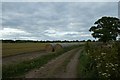 Bales beside Back Lane