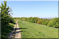 Footpath on Beacon Hill north of Sedgley, Dudley