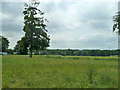 Fields north of Beeches Farm