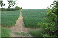 Footpath to Highfield Farm