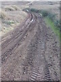 SX6643 : Bantham Estate Vehicle Tracks by Nick Cotter