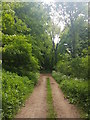 Bridleway by Holly Court Farm