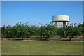 TL3675 : Water tower and orchard by Bluntisham by Hugh Venables