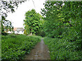 Wooded path behind Raynel Drive