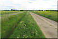 Drainage ditch and farm track