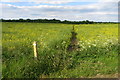 Footpath to Romp Hall