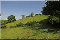 Hillside near Bowden Lodge